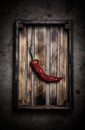 Fresh vegetables in a burned rustic texture box for background. Rough weathered wooden board. Toned Royalty Free Stock Photo