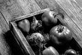 Fresh vegetables in a burned rustic texture box for background. Rough weathered wooden board. Toned Royalty Free Stock Photo