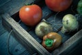 Fresh vegetables in a burned rustic texture box for background. Rough weathered wooden board. Toned Royalty Free Stock Photo