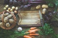 Fresh vegetables from carrot, beetroot, onion, garlic, potato on old board. Top view. Fall. Copy space on cutting board. Royalty Free Stock Photo