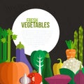 Fresh Vegetables Concept