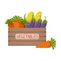 Fresh Vegetables Crate Royalty Free Stock Photo