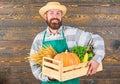 Fresh vegetables delivery service. Fresh organic vegetables box. Farmer hipster straw hat deliver fresh vegetables. Man Royalty Free Stock Photo