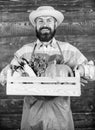 Fresh vegetables delivery service. Fresh organic vegetables box. Man cheerful bearded farmer wear apron presenting Royalty Free Stock Photo