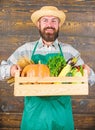 Fresh vegetables delivery service. Fresh organic vegetables box. Man cheerful bearded farmer wear apron presenting