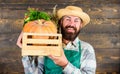 Fresh vegetables delivery service. Man cheerful bearded farmer wear apron presenting vegetables pumpkin wooden