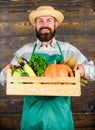 Fresh vegetables delivery service. Fresh organic vegetables box. Man cheerful bearded farmer wear apron presenting Royalty Free Stock Photo