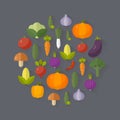 Fresh vegetables. Diet and organic food concept. Vector illustration Royalty Free Stock Photo