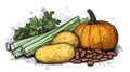 Fresh vegetables display with potato, pumpkin, beans, celery, and parsley Royalty Free Stock Photo