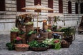 Fresh vegetables displayed for sale on a old market Royalty Free Stock Photo