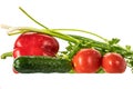 Fresh vegetables with drops of water on a white background, poidor, cucumber, bell pepper, onion, greens