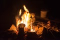 Fresh vegetables on a fire barbecue grill. Cooking Outdoor night Royalty Free Stock Photo