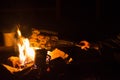 Fresh vegetables on a fire barbecue grill. Cooking Outdoor night Royalty Free Stock Photo