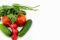 Fresh vegetables from the garden on a white plate Royalty Free Stock Photo