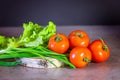 Fresh vegetables and greens for salad . The concept of a healthy diet Royalty Free Stock Photo