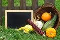 Fresh vegetables at harvest time Royalty Free Stock Photo