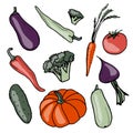 Fresh vegetables. Healthy food. Growing vegetables. Live vitamins. Summer