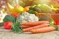 Fresh vegetables - healthy food Royalty Free Stock Photo