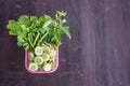 Fresh vegetables with herbs. Royalty Free Stock Photo