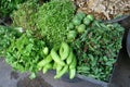 Composition of fresh vegetables and herbs, Asia Royalty Free Stock Photo