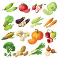 Fresh Vegetables Icon Set