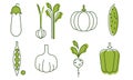 Fresh Vegetables Icons Set, Eggplant, Onion, Garlic, Cucumber, Pepper, Radish, Green Peas, Pumpkin, Organic Healthy Food Royalty Free Stock Photo