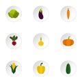 Fresh vegetables icons set, flat style Royalty Free Stock Photo