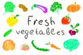 Fresh vegetables illustration without contours