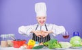 Fresh vegetables ingredients for cooking meal. Lets start cooking. Woman chef cooking healthy food. Gourmet main dish