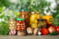 Fresh vegetables and jars of pickled products Royalty Free Stock Photo