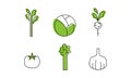 Fresh vegetables line icons set, cabbage, greenery, radish, tomato, garlic, broccoli, asparagus, organic healthy food Royalty Free Stock Photo