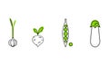 Fresh vegetables line icons set, garlic, green peas, beetroot, eggplant, organic healthy food vector Illustration on a