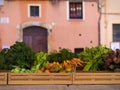 Fresh vegetables at the local market