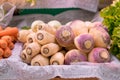 Fresh vegetables in the market. Royalty Free Stock Photo