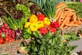 Fresh vegetables at a market Royalty Free Stock Photo