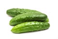 Fresh vegetables. Middle cucumbers on a white isolated background