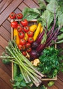 Fresh vegetables and mushrooms in rustic tray Royalty Free Stock Photo