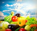 Fresh vegetables over blue sunny sky. Harvest concept background Royalty Free Stock Photo