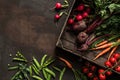 Fresh vegetables, radish, tomato, carrot, beetroot, peas in wooden box on dark background. Freshly bunch harvest. Healthy organic Royalty Free Stock Photo