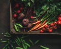 Fresh vegetables, radish, tomato, carrot, beetroot, peas in wooden box on dark background. Freshly bunch harvest. Healthy organic Royalty Free Stock Photo