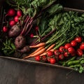 Fresh vegetables, radish, tomato, carrot, beetroot, peas in wooden box on dark background. Freshly bunch harvest. Healthy organic Royalty Free Stock Photo