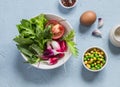 Fresh vegetables - radishes, tomatoes, garden herbs, green peas, chickpeas and egg on a light blue stone background. Royalty Free Stock Photo