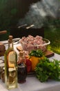 Fresh vegetables and raw meat with spices and oil on the table in nature in the warm sunny light