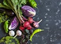 Fresh vegetables - red cabbage, beets, eggplant, peppers, garlic, herbs on a dark background. Raw ingredients. Royalty Free Stock Photo
