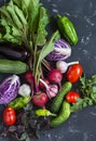 Fresh vegetables - red cabbage, beets, eggplant, peppers, garlic, tomatoes, herbs on a dark background. Raw ingredients. Royalty Free Stock Photo