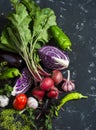 Fresh vegetables - red cabbage, beets, eggplant, peppers, garlic, tomatoes, herbs on a dark background. Raw ingredients. Royalty Free Stock Photo