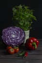 Fresh vegetables red cabbage paprika tomatoes chilli peppermint still life low key. Cut red cabbage, green red hot chili Royalty Free Stock Photo