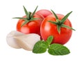 Fresh vegetables red tomato, garlic, mint