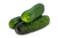 Fresh vegetables ripe green cucumbers Royalty Free Stock Photo