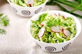 Fresh vegetables salad with cabbage, radishes. dill and greens Royalty Free Stock Photo